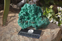 Natural Chatoyant Silky Malachite Specimens  x 2 From Kasompe, Congo - Toprock Gemstones and Minerals 