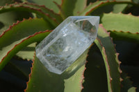 Polished Clear Quartz Crystal Points  x 6 From Madagascar - Toprock Gemstones and Minerals 