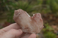 Natural Red Hematite Phantom Quartz Clusters  x 12 From Karoi, Zimbabwe - TopRock