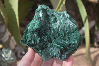 Natural Chatoyant Silky Malachite Specimens  x 2 From Kasompe, Congo - Toprock Gemstones and Minerals 