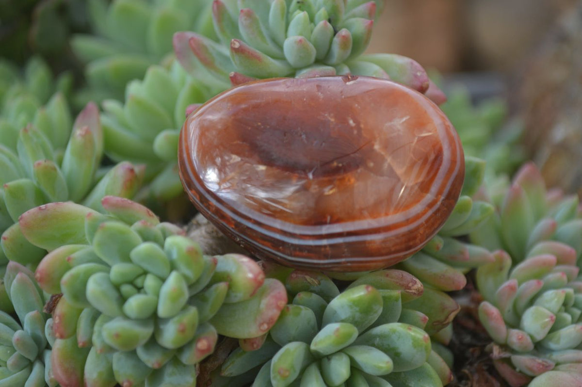 Polished Mixed Selection Of Galet / Palm Stones x 21 From South Africa - Toprock Gemstones and Minerals 
