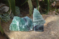 Polished Watermelon Fluorite Slices  x 2 From Uis, Namibia