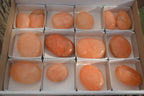 Polished Orange Twist Calcite Palm Stones  x 14 From Madagascar - Toprock Gemstones and Minerals 