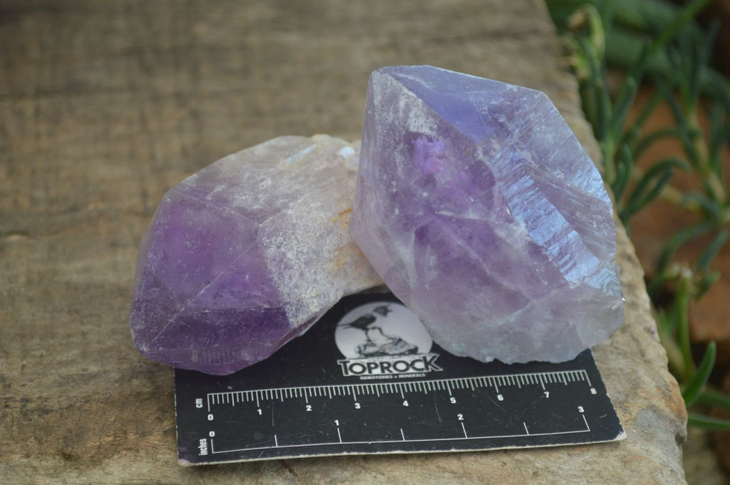 Natural Single Jacaranda Amethyst Crystals  x 12 From Mumbwe, Zambia - Toprock Gemstones and Minerals 
