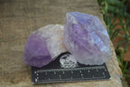 Natural Single Jacaranda Amethyst Crystals  x 12 From Mumbwe, Zambia - Toprock Gemstones and Minerals 