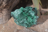 Natural Chatoyant Silky Malachite Specimens  x 2 From Kasompe, Congo - Toprock Gemstones and Minerals 