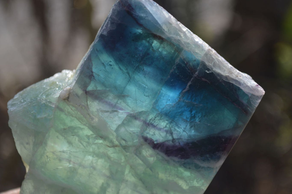 Polished Watermelon Fluorite Slices  x 2 From Uis, Namibia - Toprock Gemstones and Minerals 