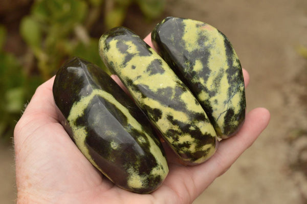 Polished Highly Selected Leopard Stone Free Forms With Nice Colour & Patterns  x 5 From Zimbabwe - TopRock