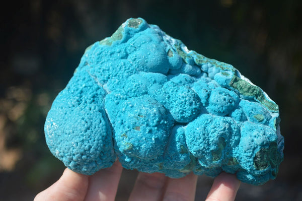 Natural Blue Chrysocolla On Silky Malachite Matrix Specimens x 2 From Kulukuluku, Congo - Toprock Gemstones and Minerals 