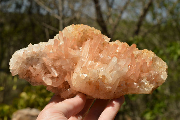 Natural Stunning Tangerine Quartz Clusters With Acicular Crystals  x 2 From Madagascar