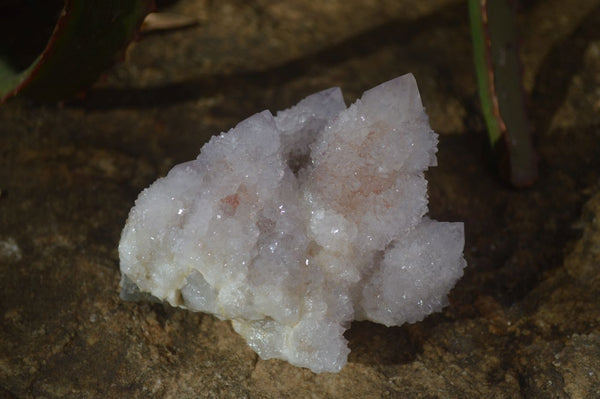 Natural Pale Lilac Spirit Quartz Clusters x 6 From Boekenhouthoek, South Africa - Toprock Gemstones and Minerals 