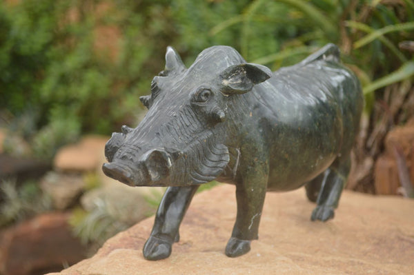 Polished Extra Large Serpentine Warthog Carving  x 1 From Zimbabwe - TopRock
