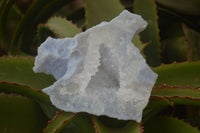 Natural Etched Blue Chalcedony Specimens  x 3 From Nsanje, Malawi - Toprock Gemstones and Minerals 