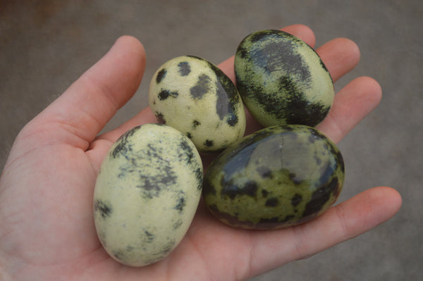 Polished Leopard stone Eggs x 12 From Zimbabwe - TopRock