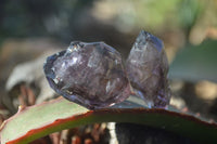 Natural Window Amethyst Quartz Crystals  x 12 From Chiredzi, Zimbabwe - Toprock Gemstones and Minerals 