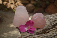 Polished Pink Rose Quartz Standing Free Forms x 2 From Ambatondrazaka, Madagascar - TopRock