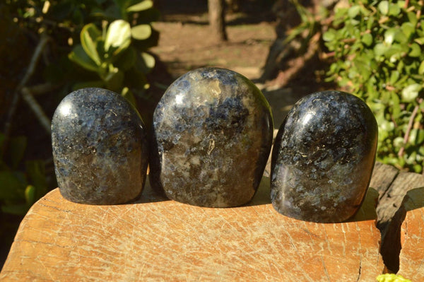 Polished Rare Iolite Water Sapphire Standing Free Forms  x 3 From Madagascar - TopRock