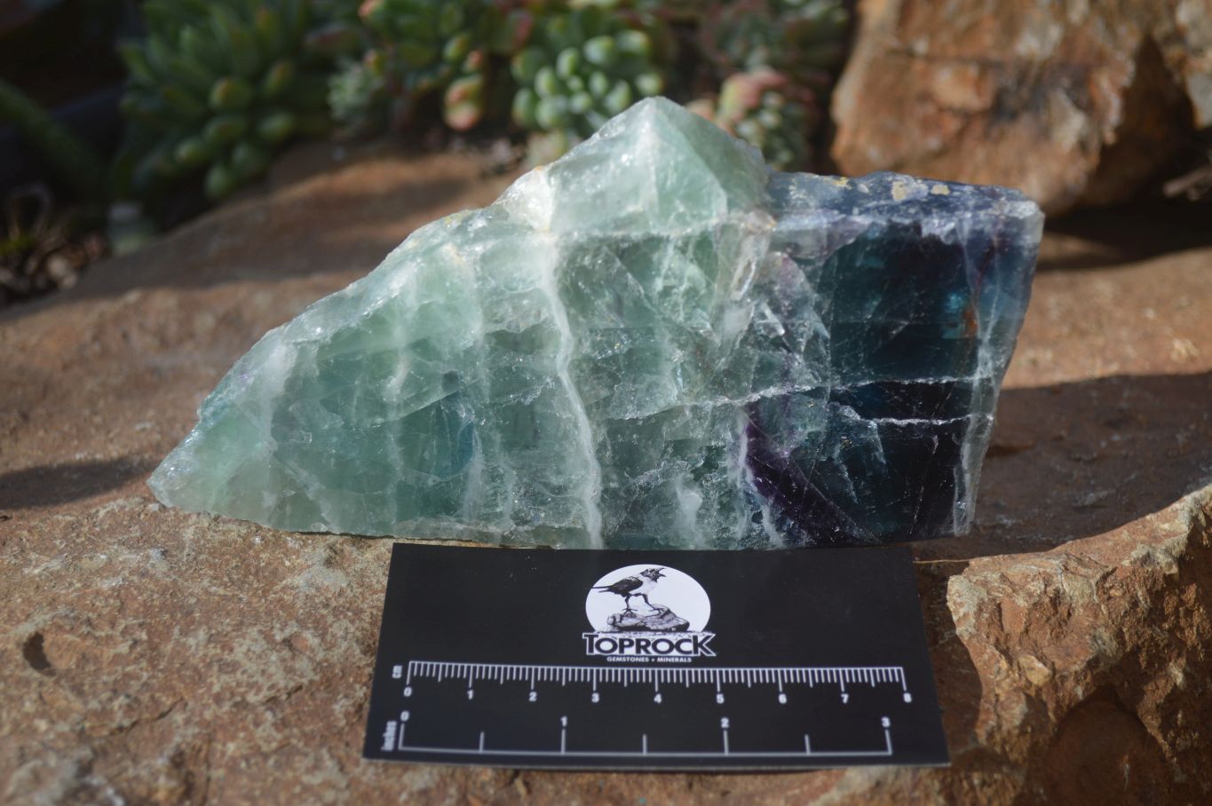 Polished Watermelon Fluorite Slices  x 2 From Uis, Namibia - Toprock Gemstones and Minerals 