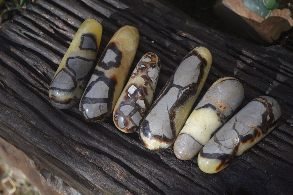 Polished Septerye Massage Wands x 6 From Madagascar - Toprock Gemstones and Minerals 