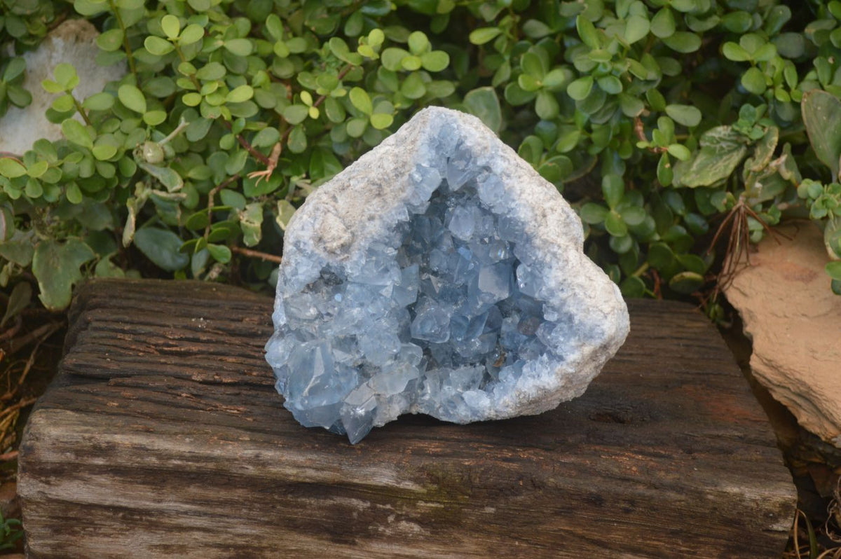 Natural Large Blue Celestite Geode Specimen  x 1 From Sakoany, Madagascar - Toprock Gemstones and Minerals 