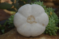 Polished Mixed Stone Pumpkin Carvings  x 3 From Zimbabwe - Toprock Gemstones and Minerals 