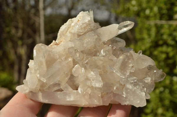 Natural Mixed Selection Of Quartz Clusters x 8 From Madagascar - TopRock