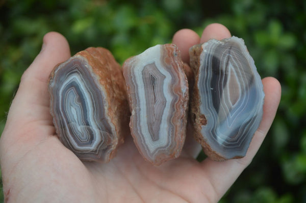 Polished Gorgeous Banded River Agate Nodules  x 12 From Sashe River, Zimbabwe - Toprock Gemstones and Minerals 