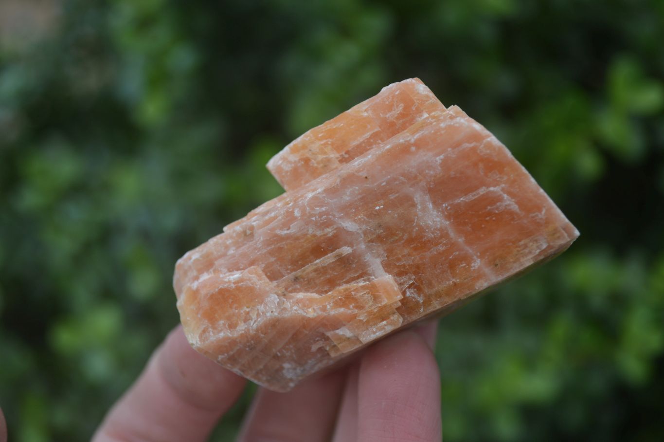 Natural New Sunset Orange Calcite Specimens  x 24 From Spitzkop, Namibia - Toprock Gemstones and Minerals 