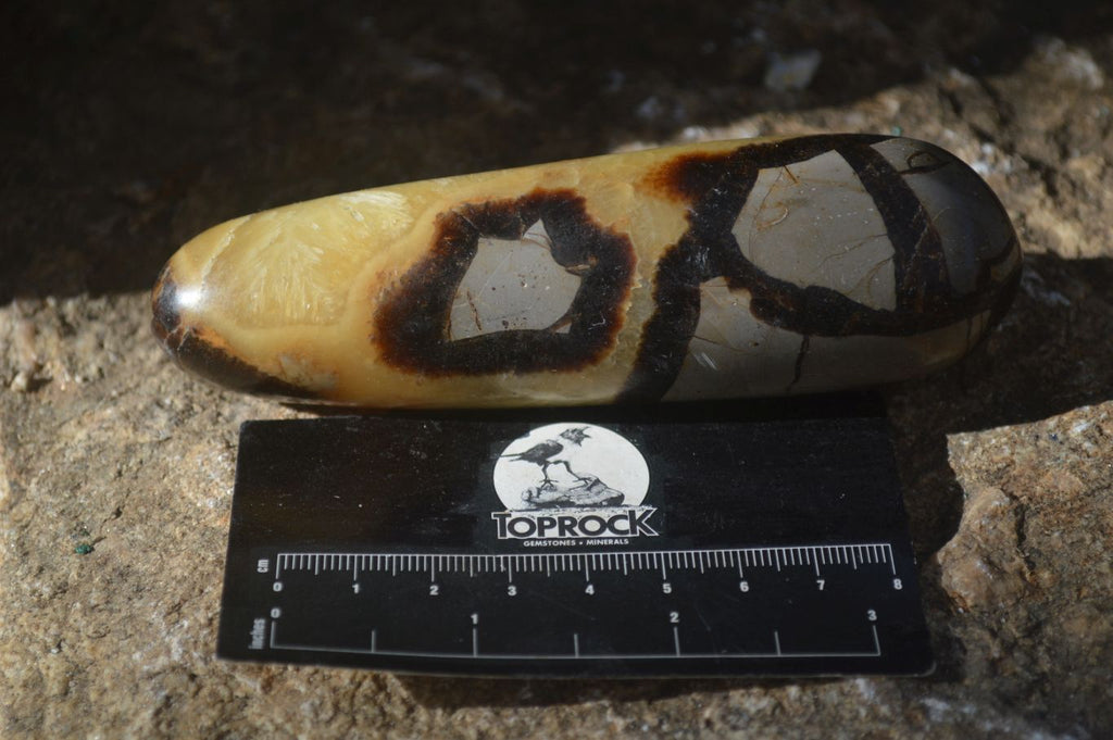 Polished Septerye Massage Wands x 6 From Madagascar - Toprock Gemstones and Minerals 