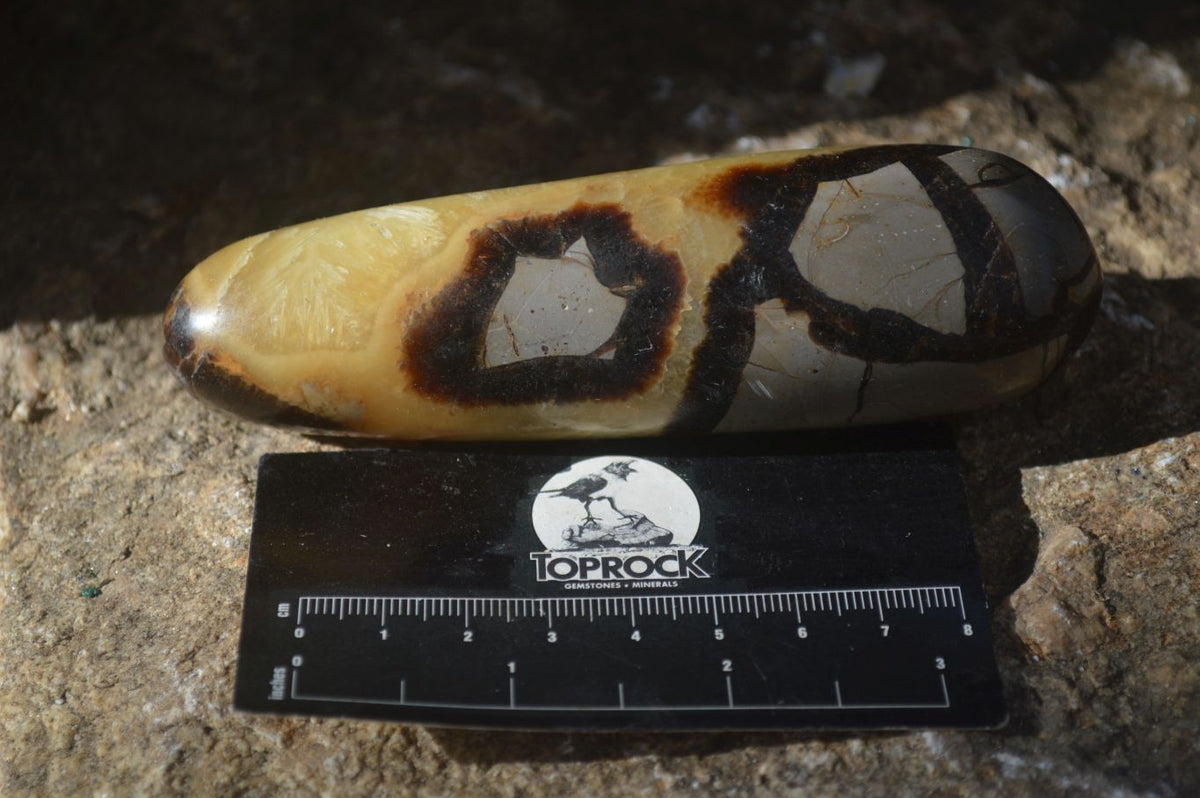 Polished Septerye Massage Wands x 6 From Madagascar - Toprock Gemstones and Minerals 