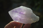 Natural Single Jacaranda Amethyst Crystals  x 12 From Mumbwe, Zambia - Toprock Gemstones and Minerals 