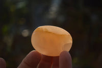 Polished Orange Twist Calcite Galets / Palm Stones x 12 From Maevantanana, Madagascar - Toprock Gemstones and Minerals 