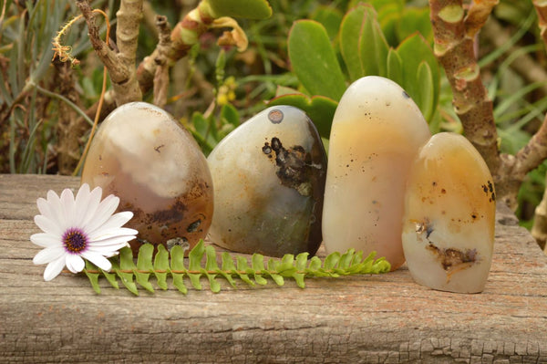 Polished Dendritic Agate Standing Free Forms  x 4 From Moralambo, Madagascar - TopRock