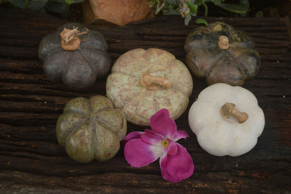 Polished Mixed Stone Pumpkin Carvings  x 5 From Zimbabwe - TopRock