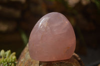 Polished Pink Rose Quartz Standing Free Forms x 2 From Ambatondrazaka, Madagascar - TopRock