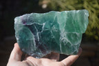 Polished Watermelon Fluorite Slices  x 2 From Uis, Namibia - Toprock Gemstones and Minerals 