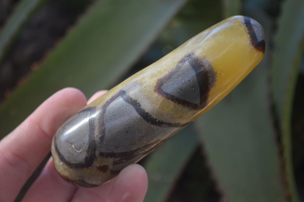 Polished Septerye Massage Wands x 6 From Madagascar - Toprock Gemstones and Minerals 