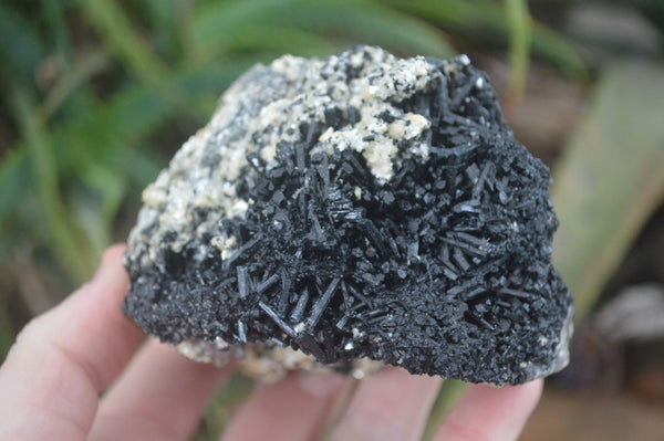 Natural Schorl Black Tourmaline Specimens  x 3 From Erongo, Namibia - Toprock Gemstones and Minerals 