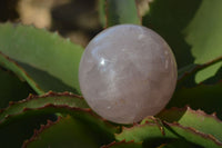 Polished Rare Star Blue Rose Quartz Spheres x 3 From Ambatondrazaka, Madagascar - Toprock Gemstones and Minerals 