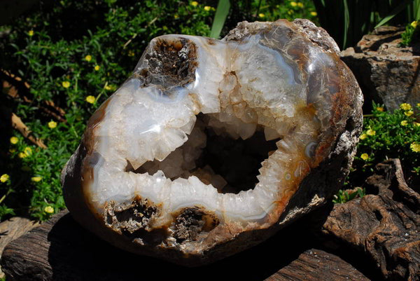 Polished Extra Large Crystal Cantered Agate Geode x 1 From Madagascar - TopRock