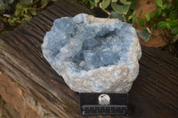 Natural Large Blue Celestite Geode Specimen  x 1 From Sakoany, Madagascar - Toprock Gemstones and Minerals 