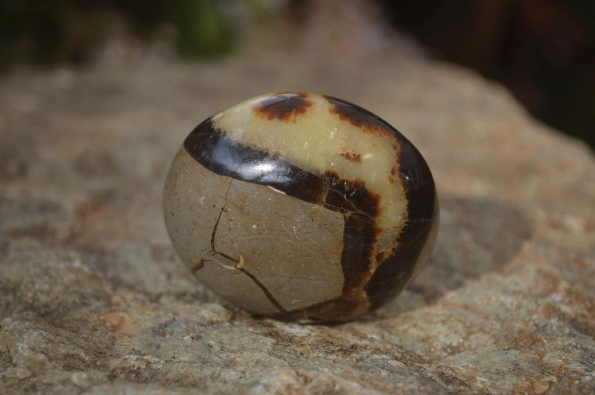 Polished Mixed Selection Of Galet / Palm Stones x 21 From South Africa - Toprock Gemstones and Minerals 