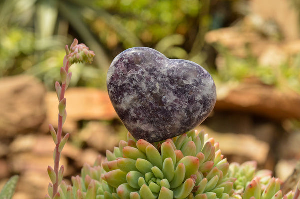 Polished Purple Lepidolite Mica Hearts  x 6 From Madagascar - TopRock
