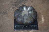 Polished Mixed Stone Pumpkin Carvings  x 3 From Zimbabwe - Toprock Gemstones and Minerals 