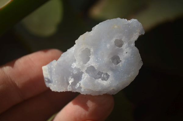 Natural Etched Blue Chalcedony Specimens  x 70 From Nsanje, Malawi - Toprock Gemstones and Minerals 