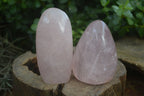 Polished Pink Rose Quartz Standing Free Forms  x 4 From Madagascar - Toprock Gemstones and Minerals 