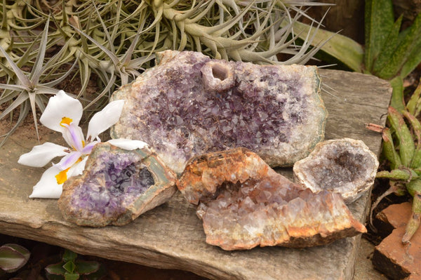 Natural Amethyst In Basalt Geode Specimens  x 4 From Zululand, South Africa - TopRock