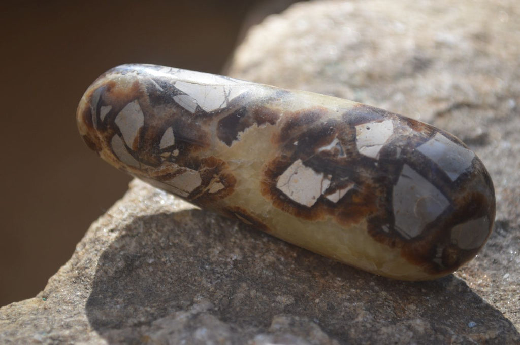 Polished Septerye Massage Wands x 6 From Madagascar - Toprock Gemstones and Minerals 