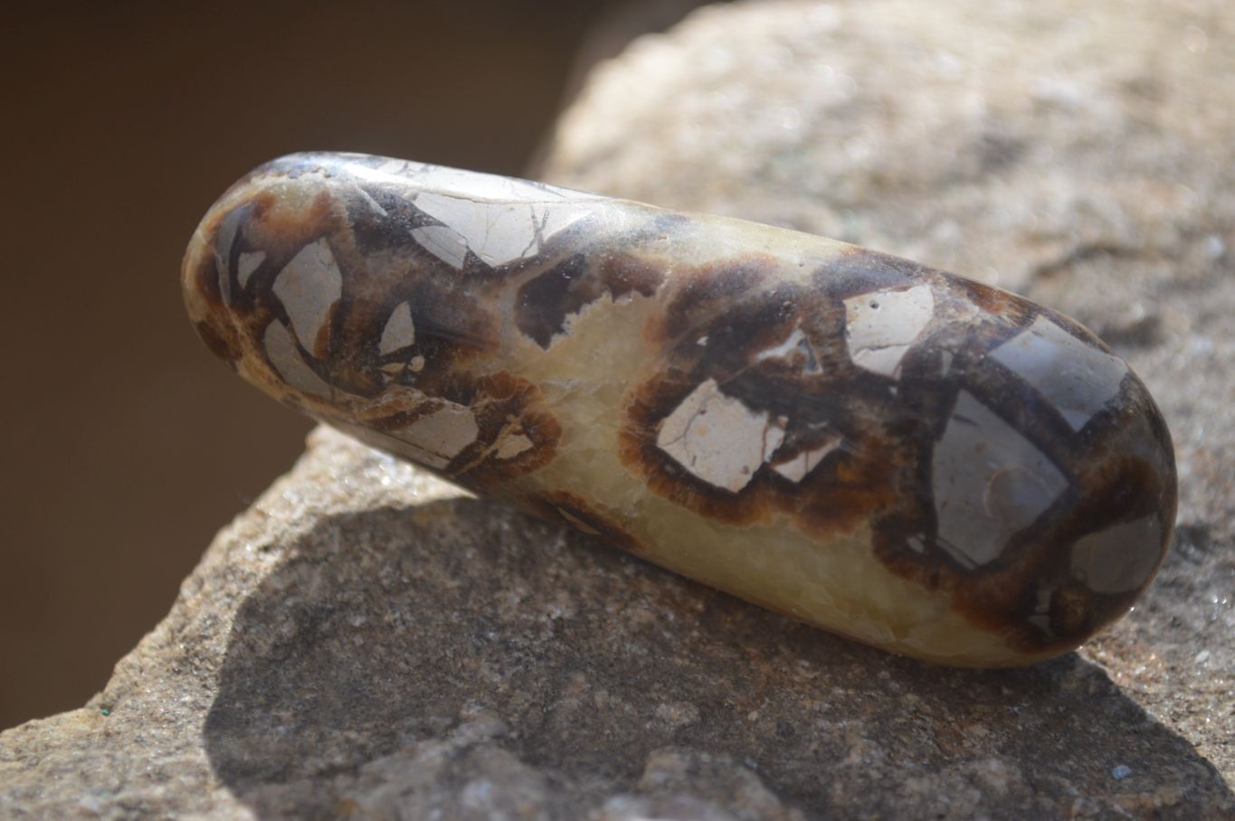 Polished Septerye Massage Wands x 6 From Madagascar - Toprock Gemstones and Minerals 