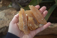 Natural Honey Aragonite Etched & Cobbed Pieces  x 12 From Namibia - Toprock Gemstones and Minerals 